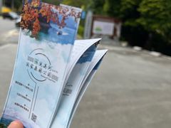 -广州市流溪河国家森林公园