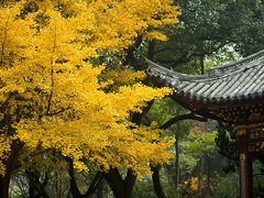 -汇龙潭