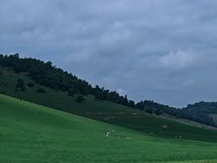 -关山草原