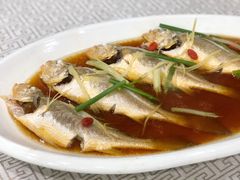 清蒸野生小黄鱼-星龙海鲜(望江东路店)