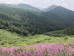 -驼梁风景区