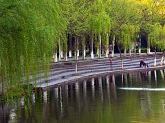 -泰州凤城河风景区-泰山公园