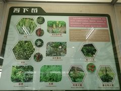 -北京中医药大学-中医药博物馆