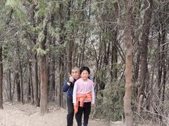 -大觉寺-停车场