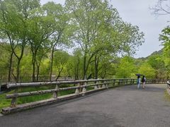 -西湖风景区-江洋畈生态公园