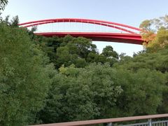 -金鸡山公园