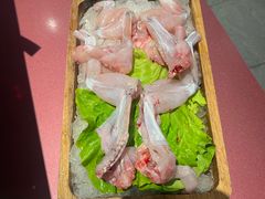 -九鼎轩脆毛肚火锅(三钢里店)