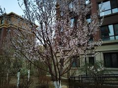 -五彩阳光城1期