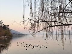 -西昌邛海湿地