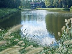 -黄海国家森林公园