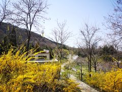 -大连植物园