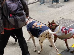 -Elephant Grounds(STARSTREET)