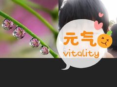 -三亚市图书馆