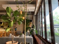 -the rug 飞毯 (朝阳公园店)
