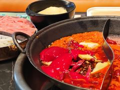 -巴蜀大将火锅(春熙店)