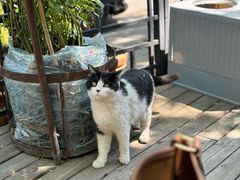 -萤火虫咖啡(后海店)