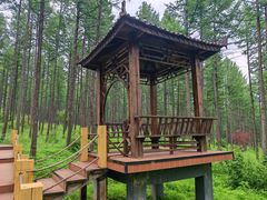 -塞罕坝国家级自然保护区