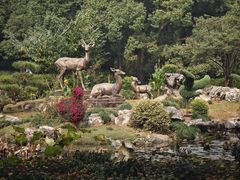 -杭州植物园