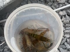 -DGE季风钓虾营地·团建·聚会