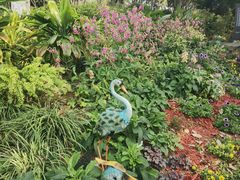 -东莞植物园