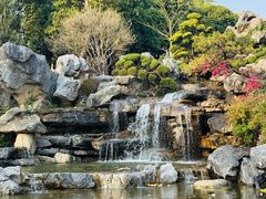 -东莞植物园