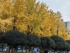 -两江国际影视城