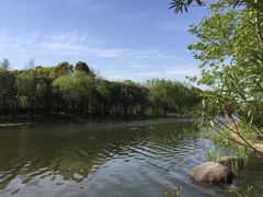 -新江湾城公园