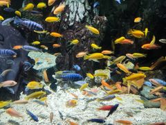 -太平洋海底世界