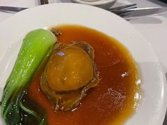 -食为先(Shark Fin)