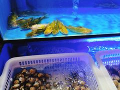 -布多斯烤肉火锅自助(江腾广场店)