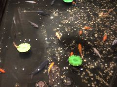 -久宴·天目湖大鱼头(恐龙园店)