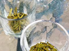 -嘉龙茶庄