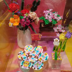 -乐高授权专卖店(朝阳大悦城店)
