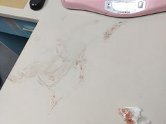 -芭比堂动物医院·心脏专科·夜诊·吉雅分院