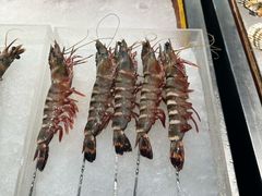 -蚝老板海鲜烧烤大排档(码头店)