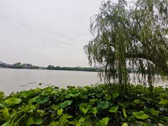 -云龙湖旅游景区