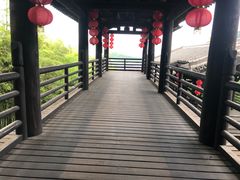 -大唐贡茶院