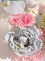 -美肤盾祛痘·问题肌头疗管理中心