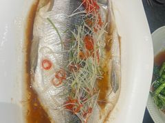 -俭寨大盘鸡·新疆菜·烧烤(博乐店)