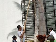 -三亚海棠湾万丽度假酒店