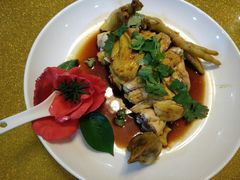 -呼吸森林·生态农庄农家乐私房菜