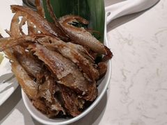 -上海宝华喜来登酒店·采悦轩中餐厅