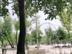 -南戴河国际娱乐中心