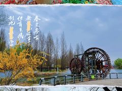 -北京国际鲜花港