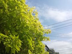 -宁曼路