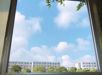 看在我夏天大太阳学车的份上 保佑我顺利取得驾照吧