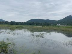 -艾米稻香小镇