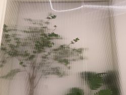 -OAE日式皮肤管理お肌の