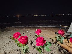 -白城沙滩