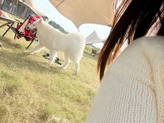 -omitofee咖啡(水泽店)